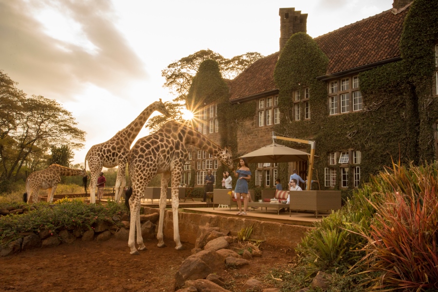 Giraffe Manor, Samburu & the Mara