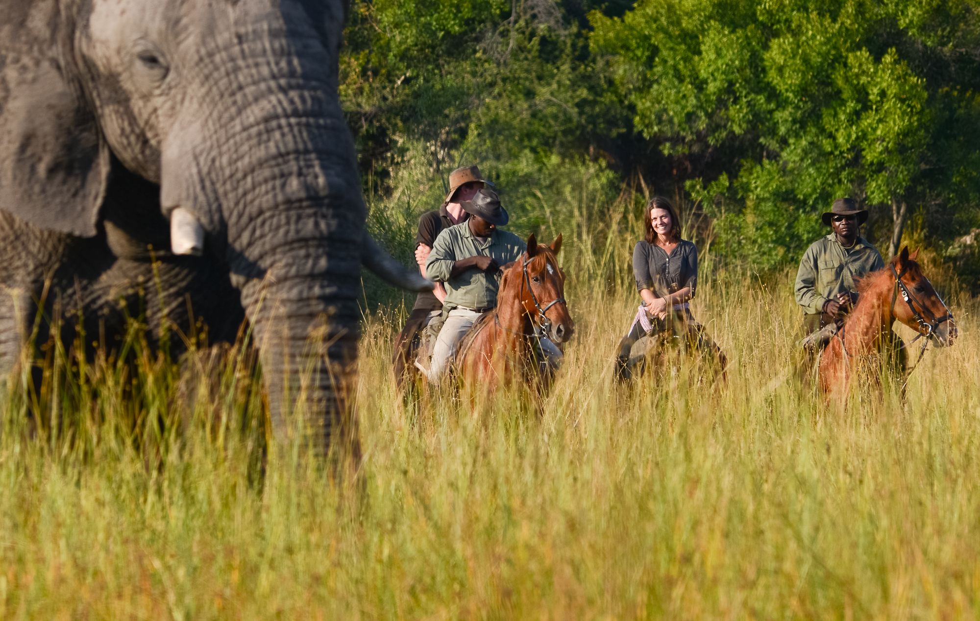 Okavango by Horseback