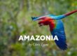 Amazonia