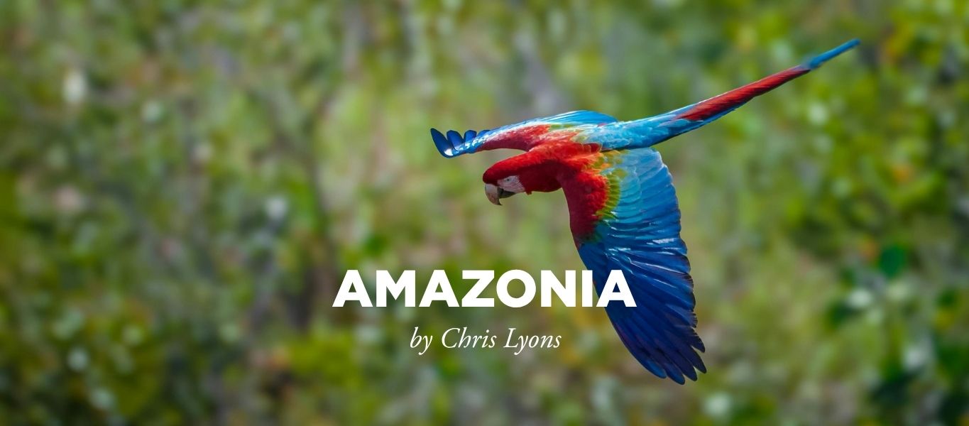 AMAZONIA Amazonia