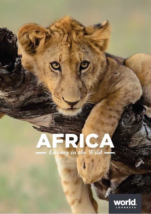 Africa, luxury in the wild