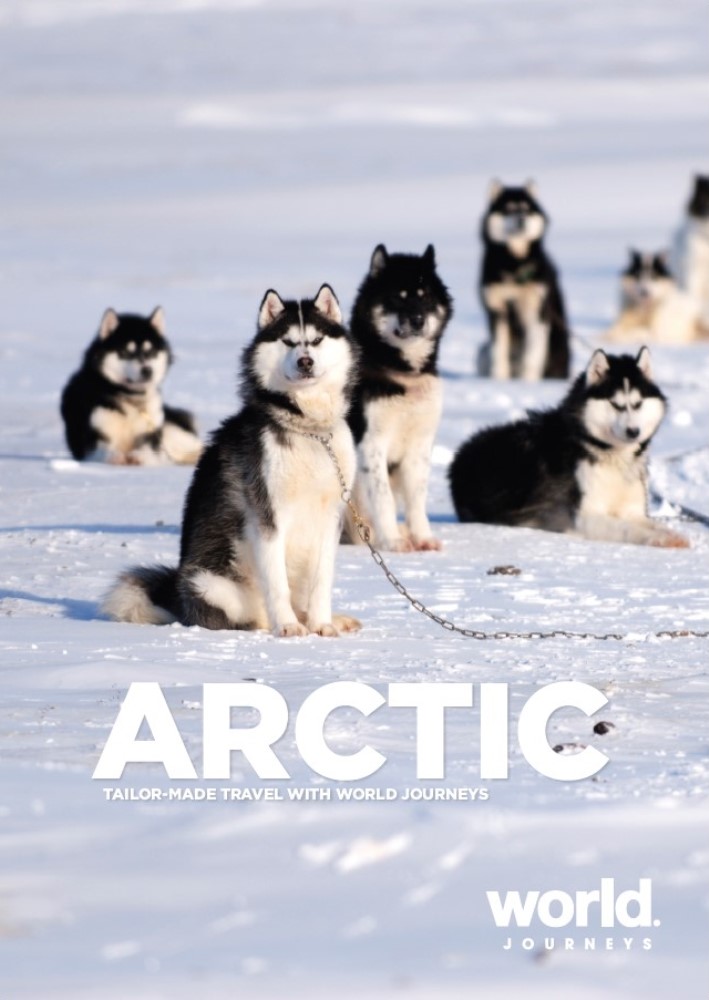 Arctic huskies