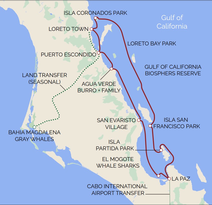 Baja California Whales and Sealife
