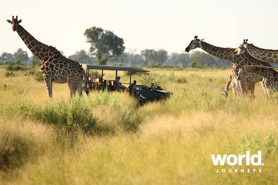 &Beyond Nxabega game drive