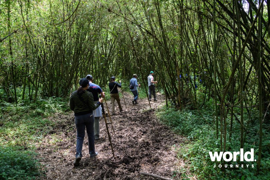 Bisate Trekking