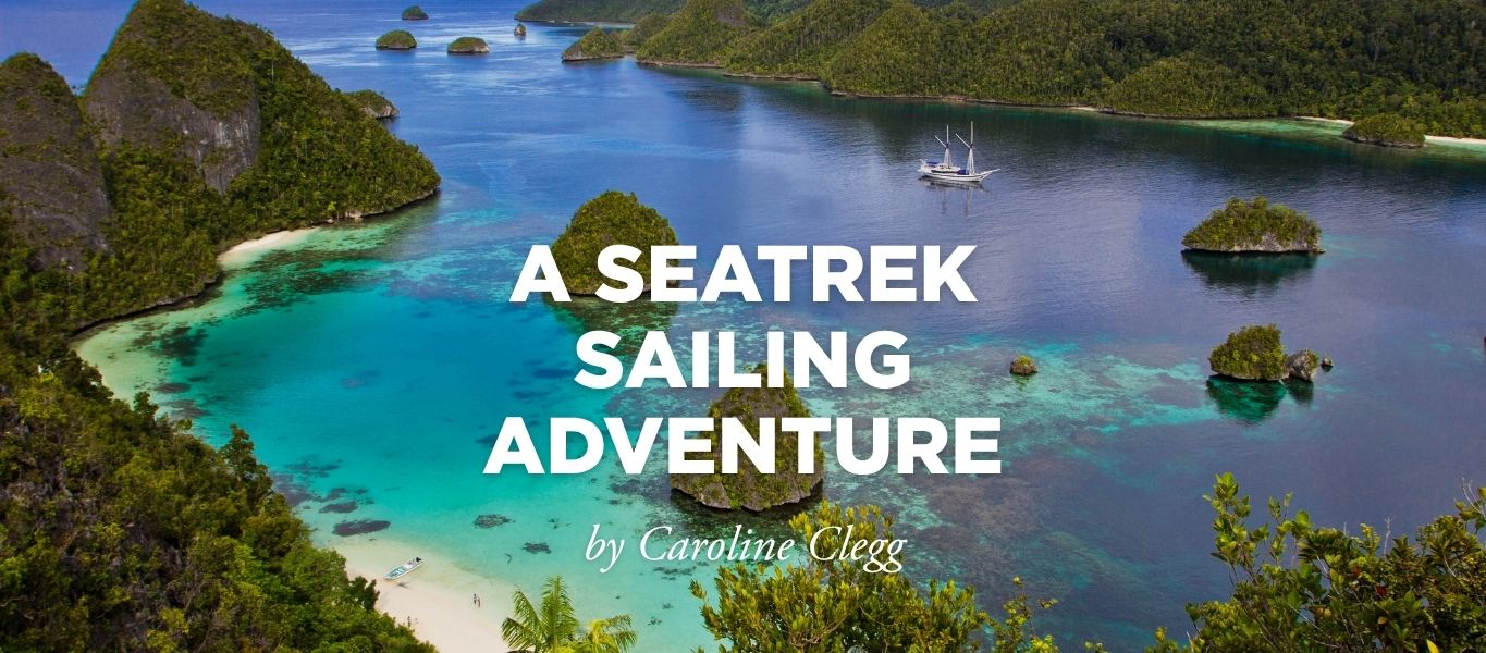 A SeaTrek Sailing Adventure