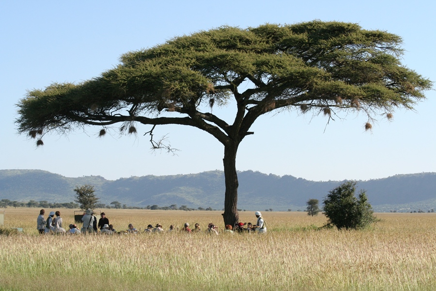Tarangire, Ngorongoro & The Serengeti Private
