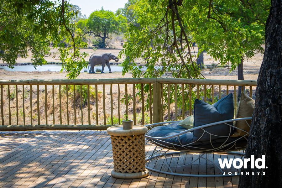 Bush Lodge Elephant