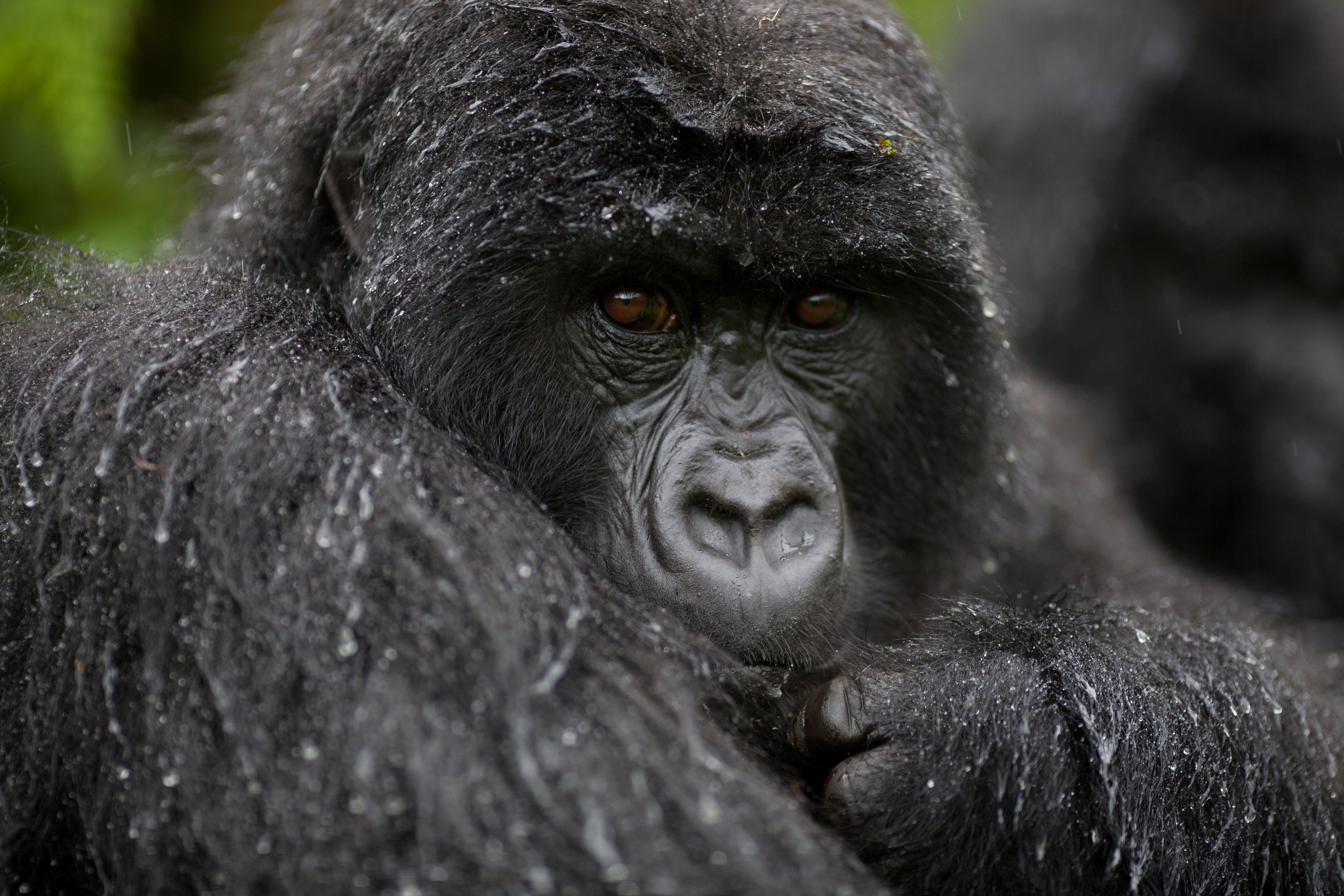 Best of Uganda