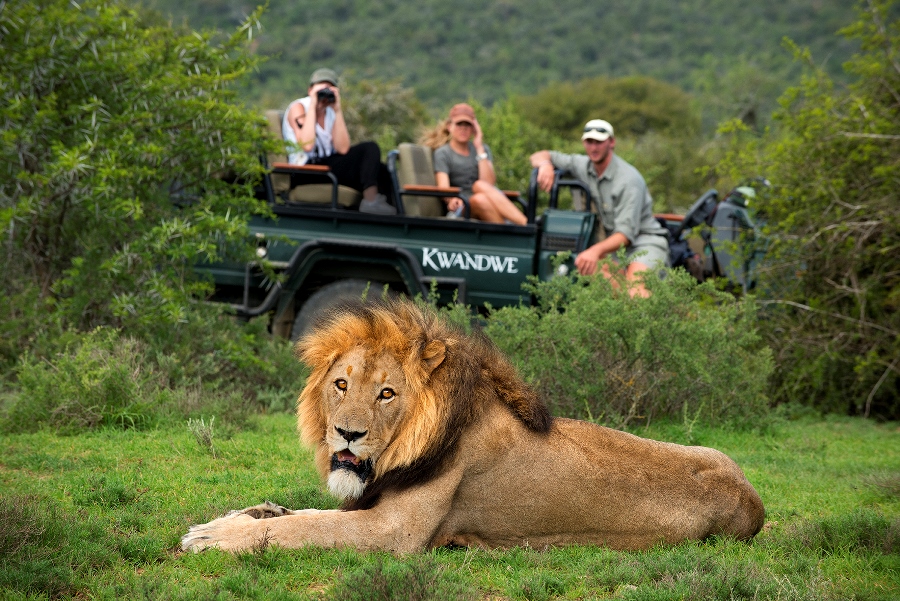 Garden Route & Safari