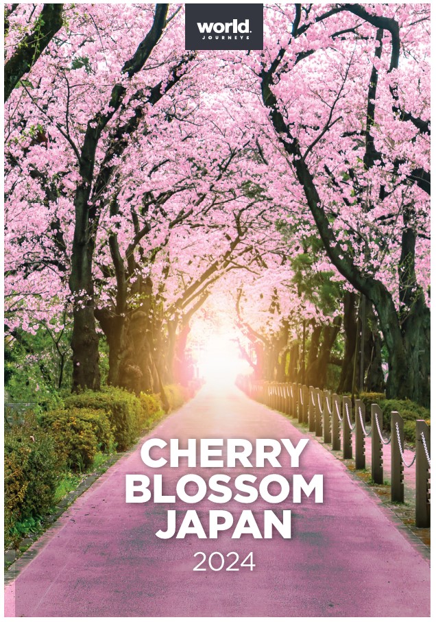Kyoto Cherry Blossom Festival 2024 Concert deidre meggie