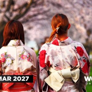 Cherry Blossom Japan