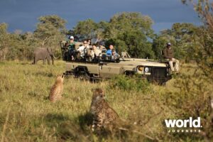 Chitwa Chitwa Game Drive