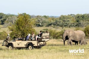 Chitwa Chitwa game drive with elephants