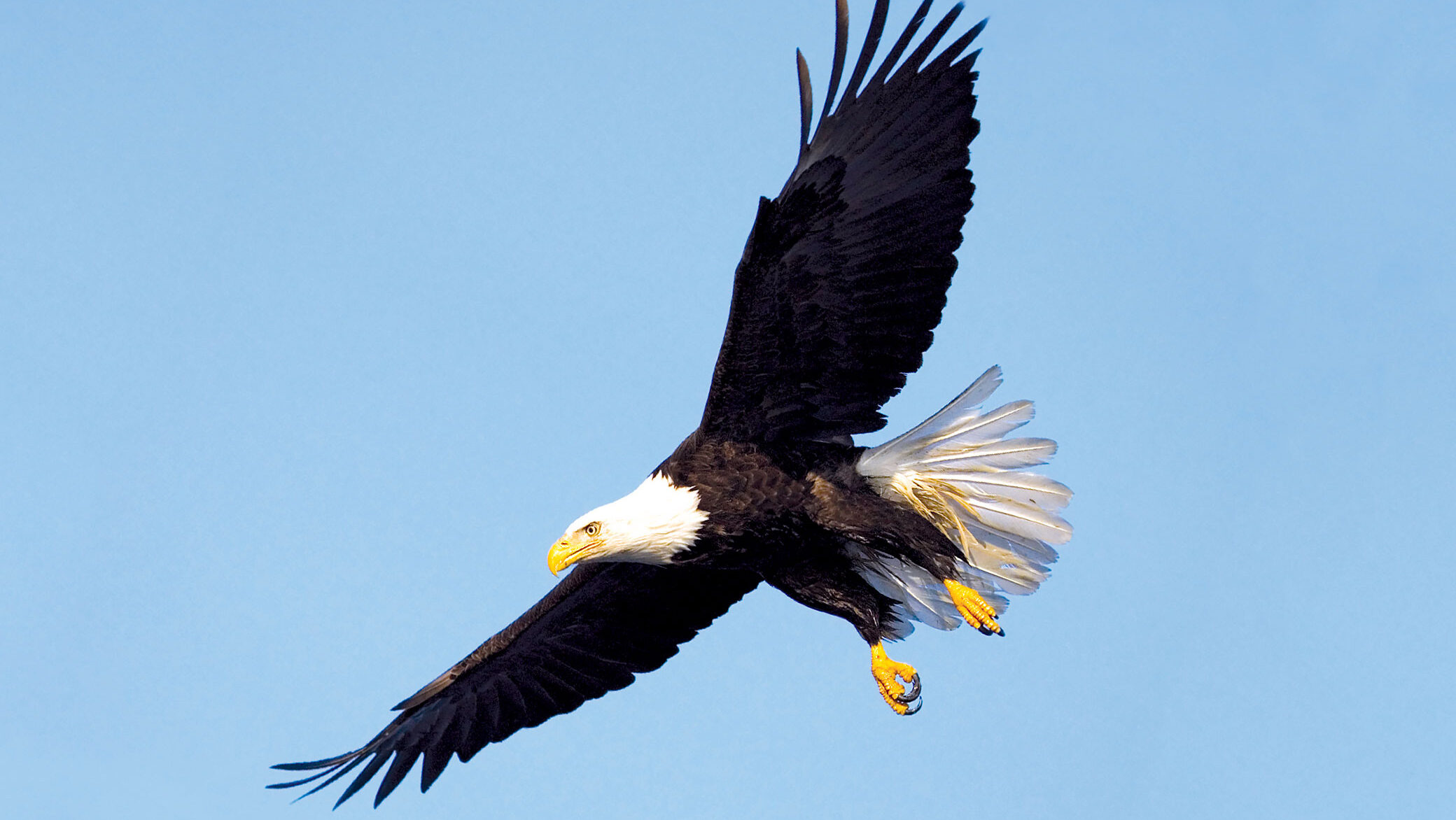 Eagle, Alaska