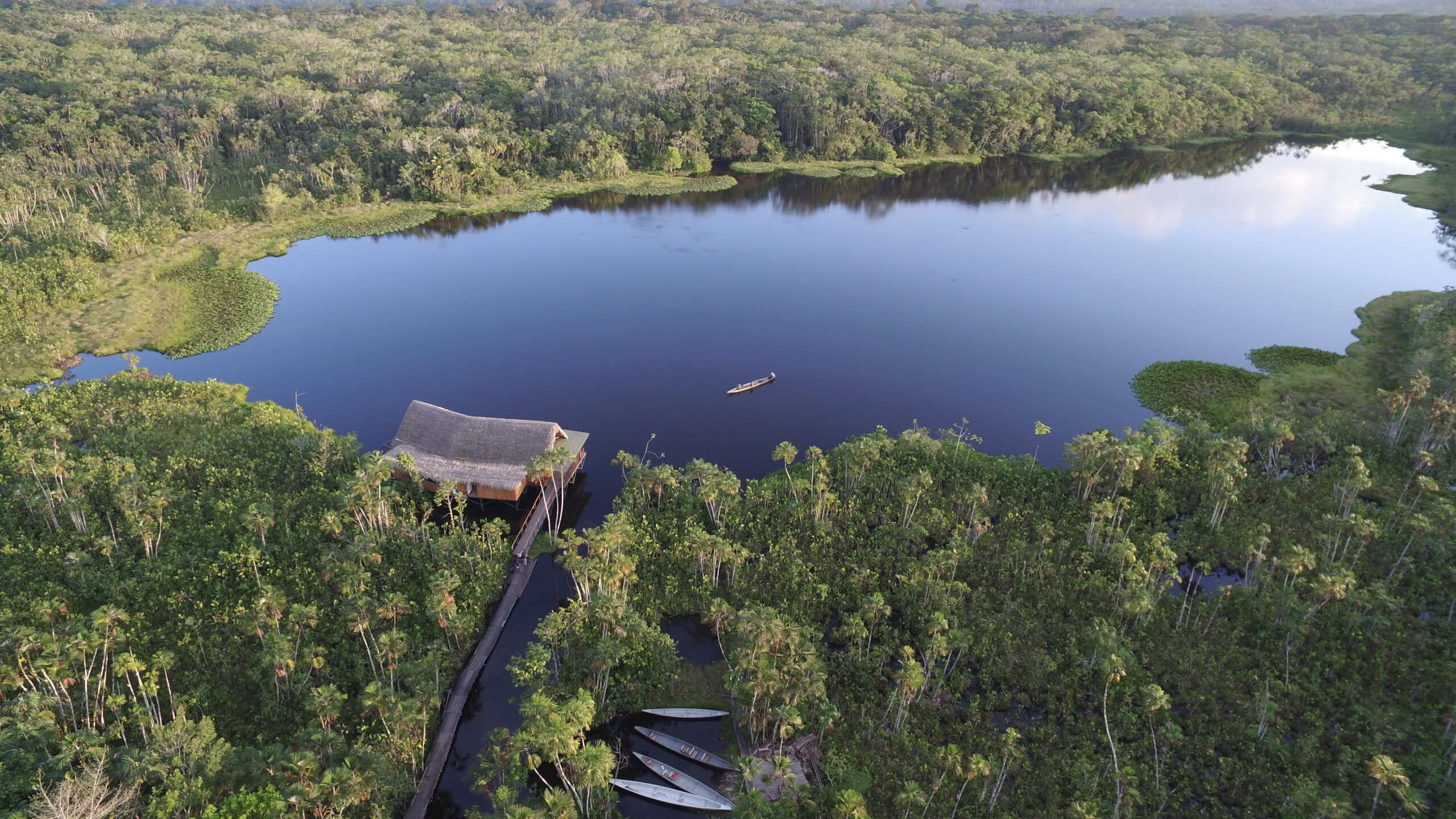 Ecuador's Amazon - Sacha Lodge