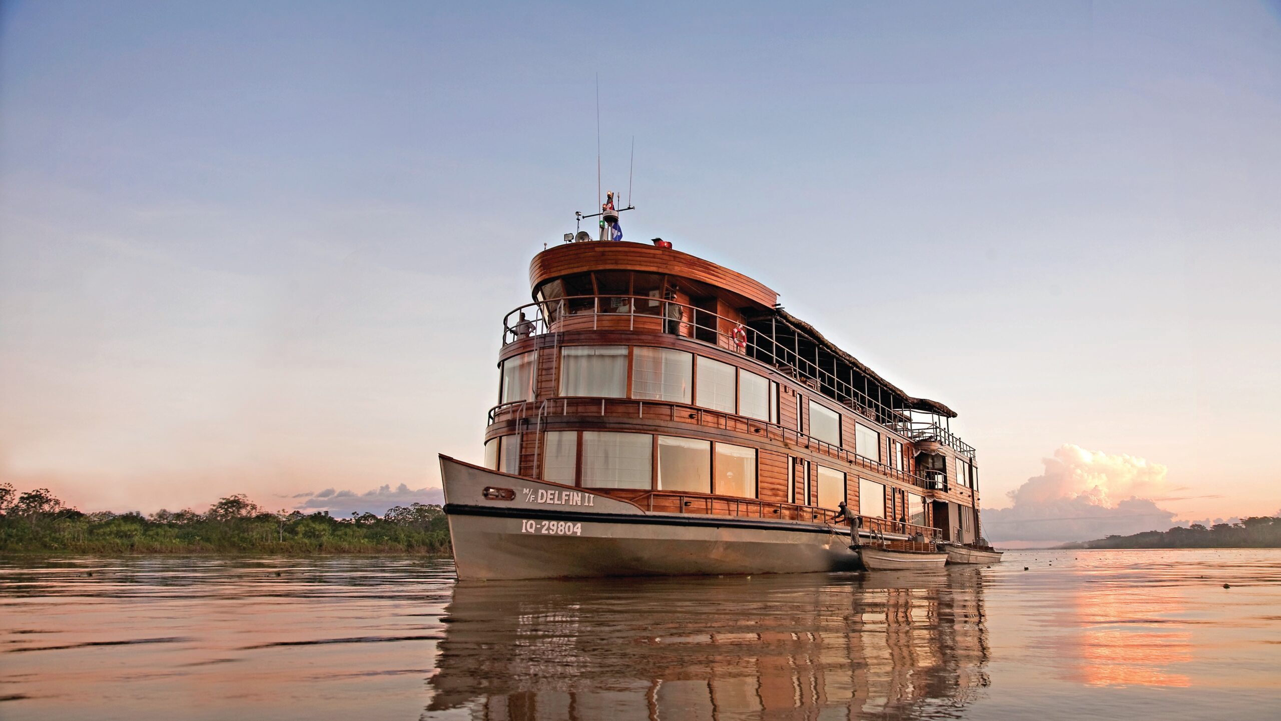 Amazon Cruise - Delfin