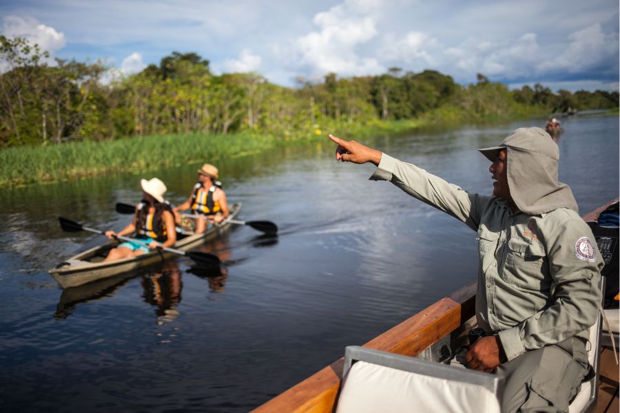 Delfin kayaking