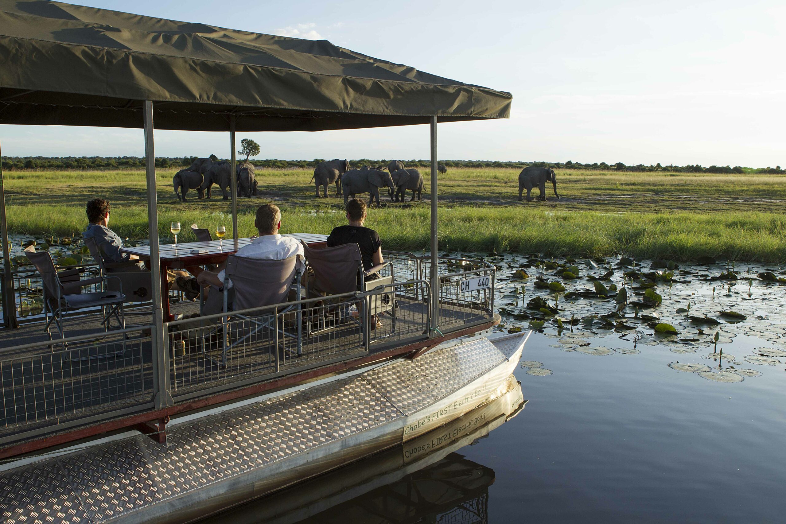Wings over Botswana