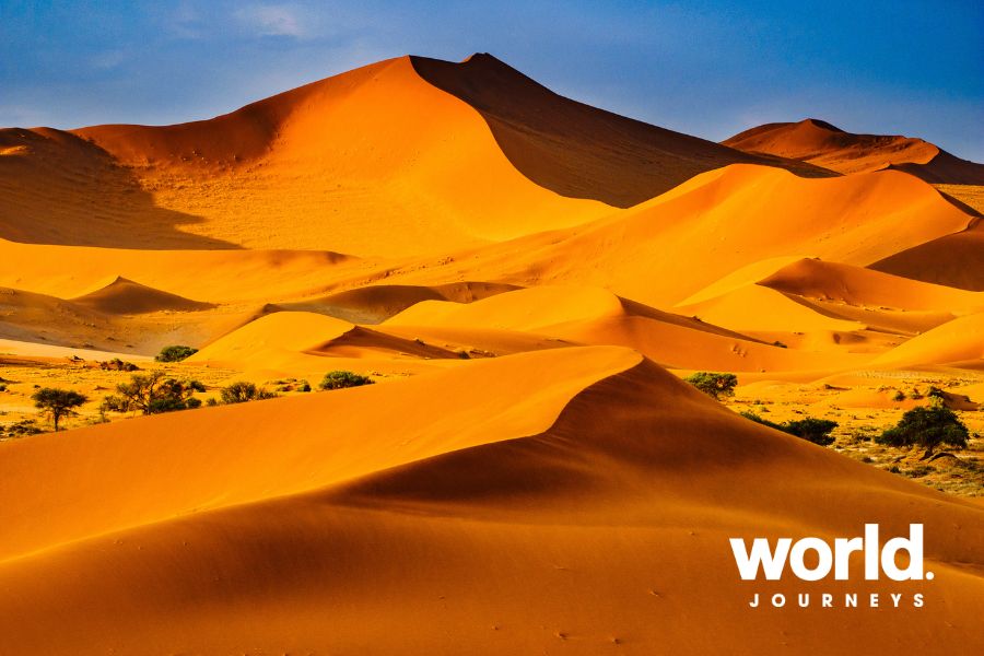 Dunes, Namib Desert