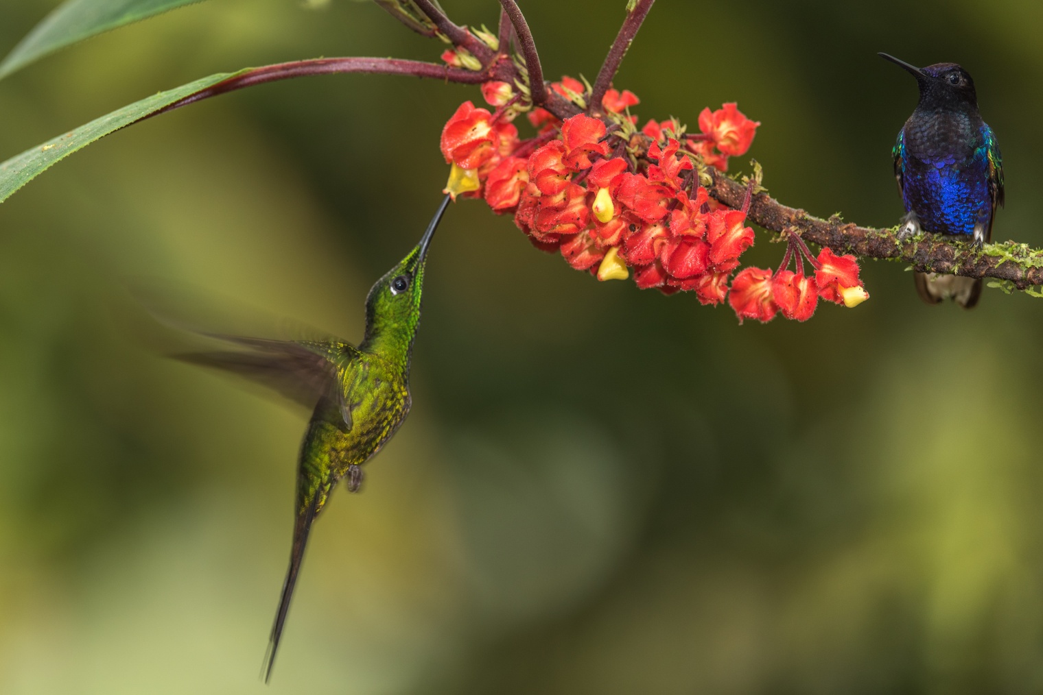 Ecuador in Luxury