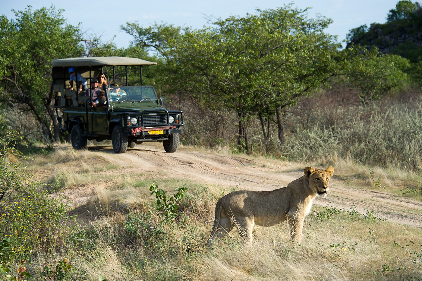 Game drive in Ongava Game Reserve