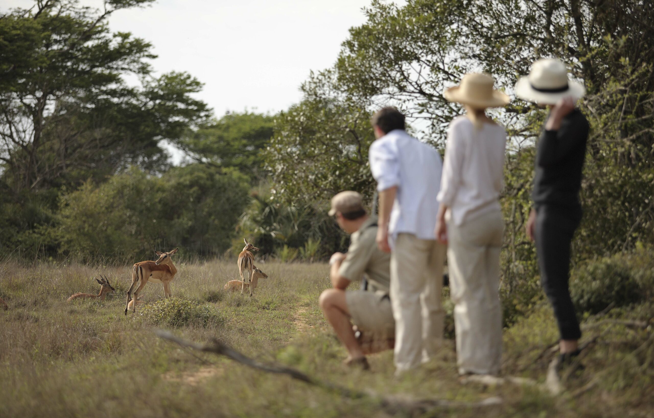 Africa Safari Guided Bush Walk