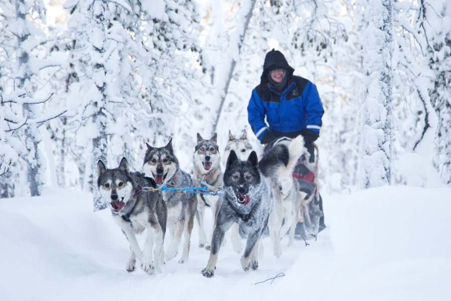 Lapland Wilderness Escape