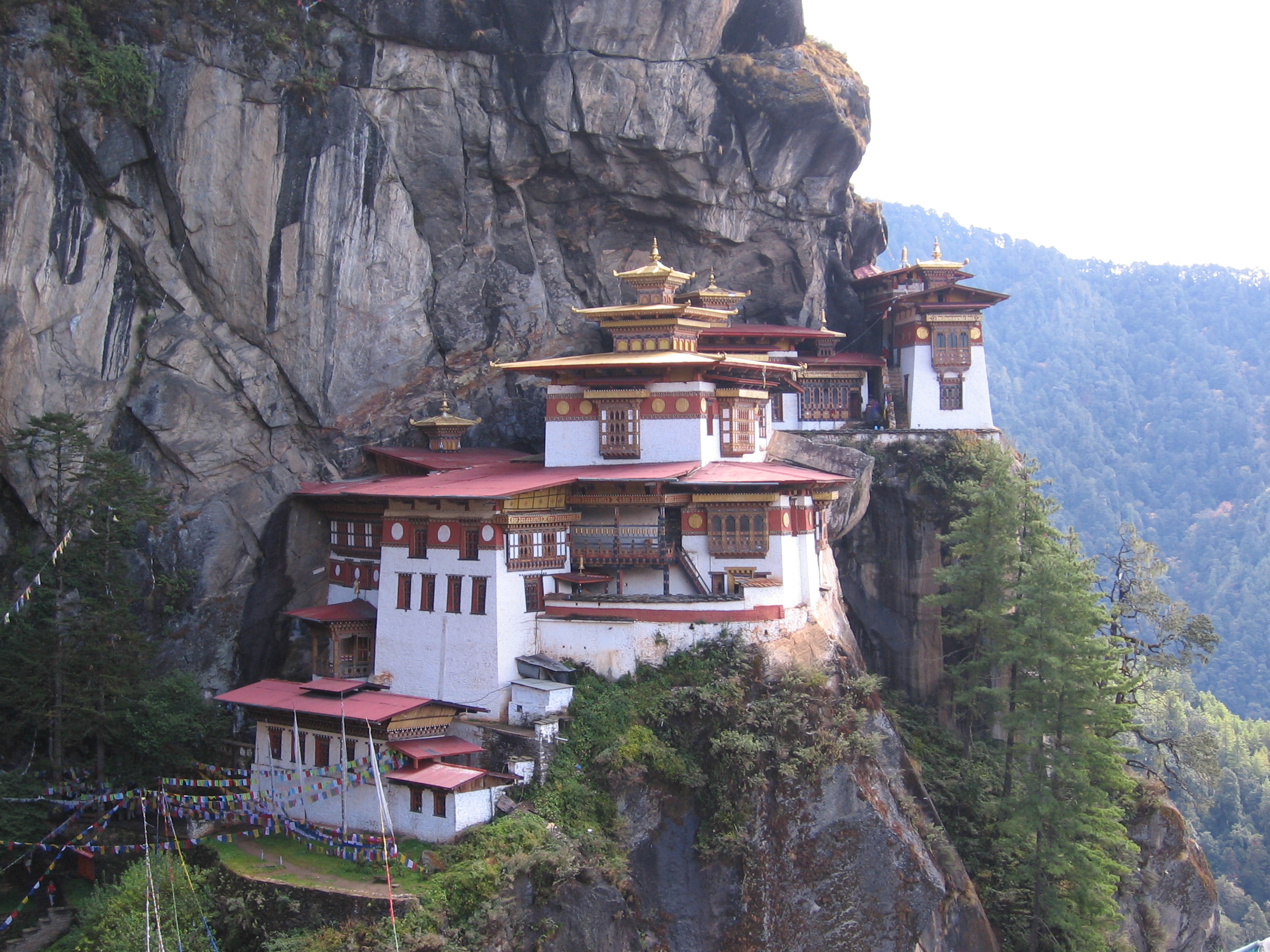 Wild Bhutan