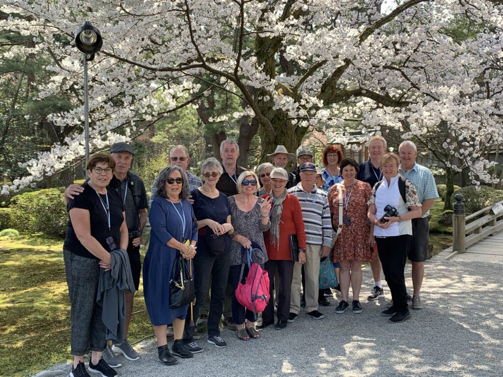 Cherry Blossom Japan group 2023