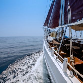 Katharina under sail