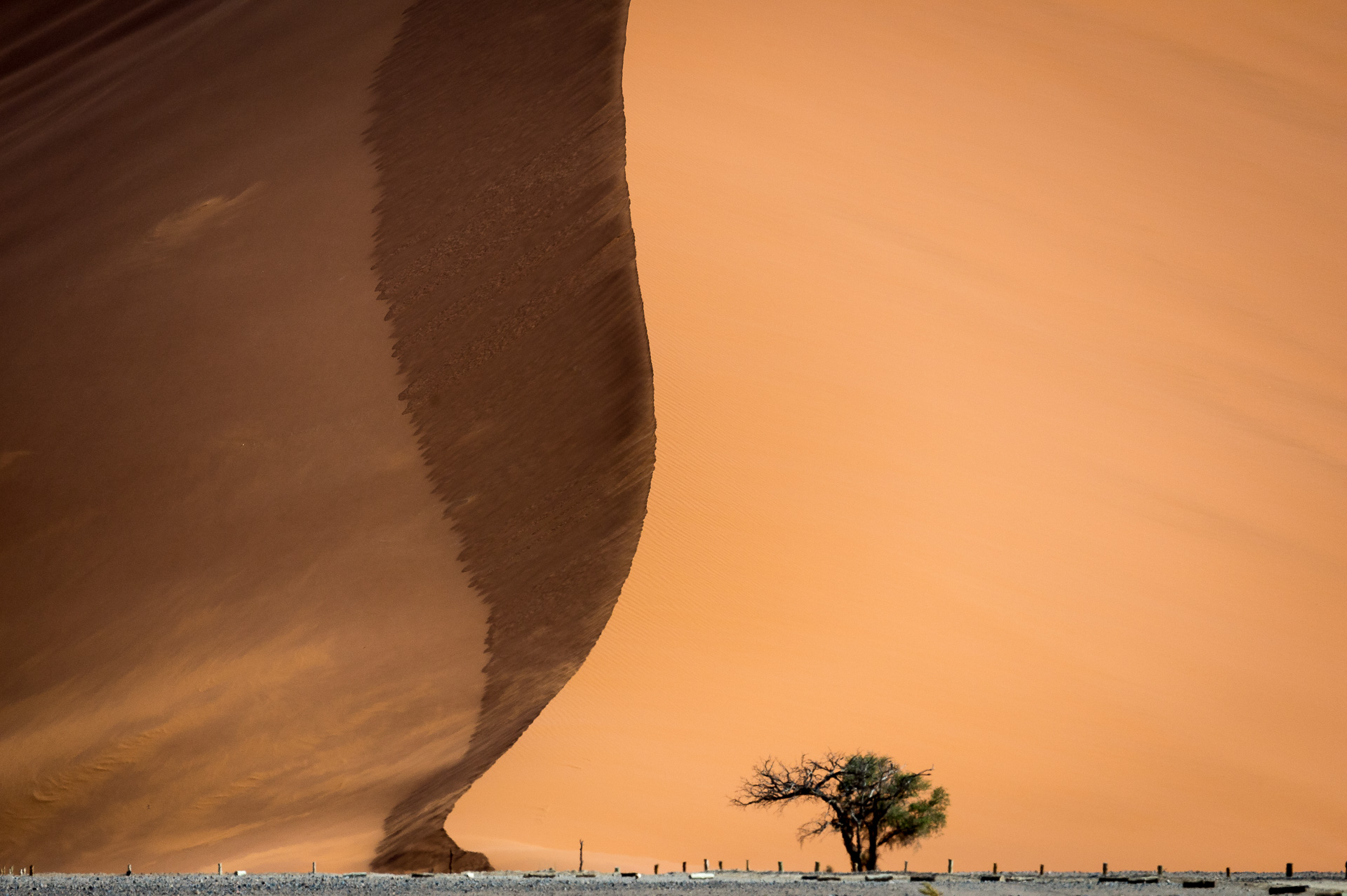 Wings over Namibia