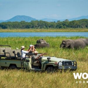 Malawi Safari to Sand