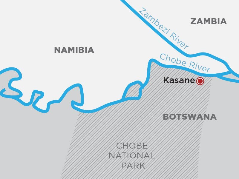 Chobe River Safaris