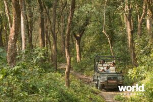 Meghauli Serai jeep safari