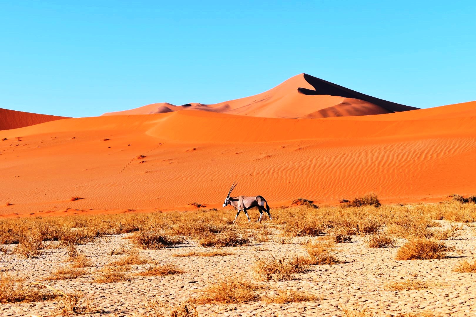 Exploring Namibia