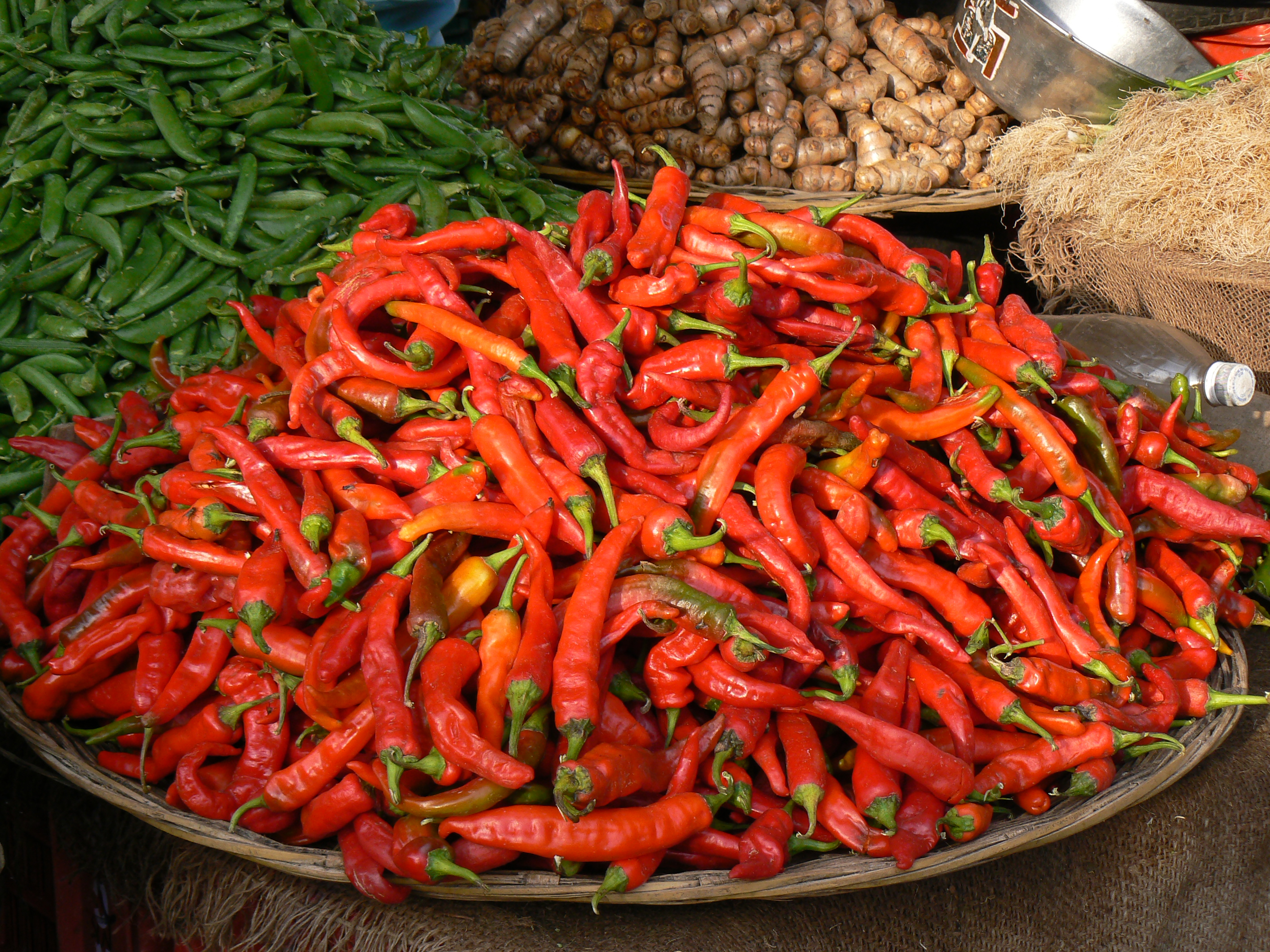Gourmet South India