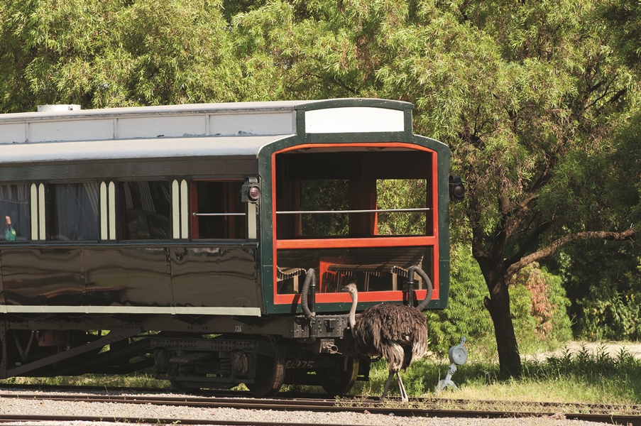 Rovos Rail: African Trilogy