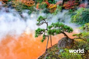 Hot Spring Beppu