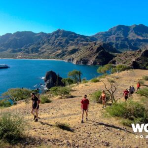 Baja California's Whales & Sealife