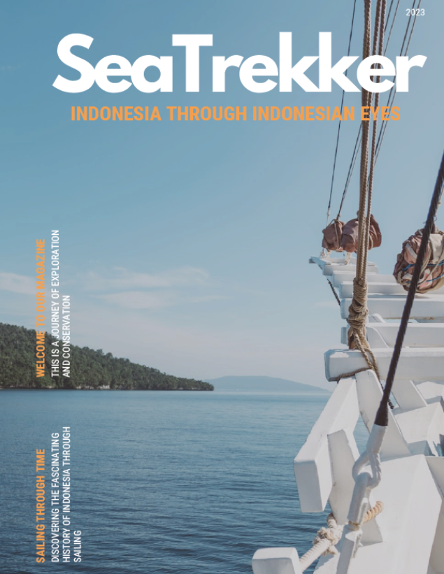 SeaTrek cover page website