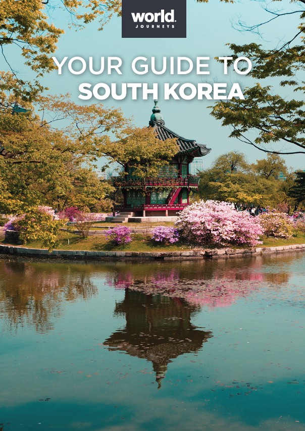 Your Guide to South Korea
