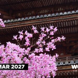 Cherry Blossom Japan