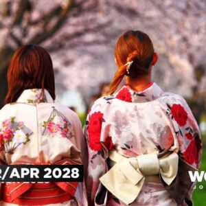 Cherry Blossom Japan
