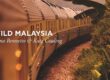 Wild Malaysia with Eastern & Oriental Express