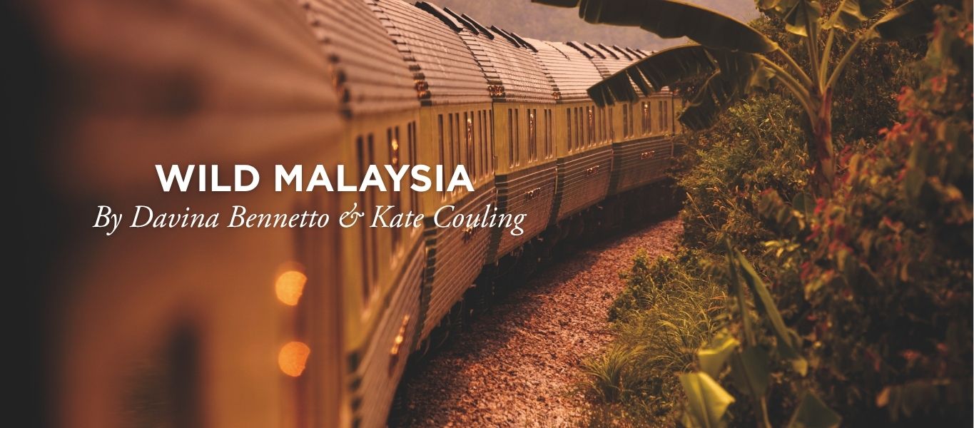 Wild Malaysia by Luxury Train