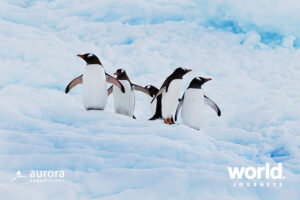 Antarctica Featuring the Ross Sea