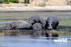 Chobe National Park