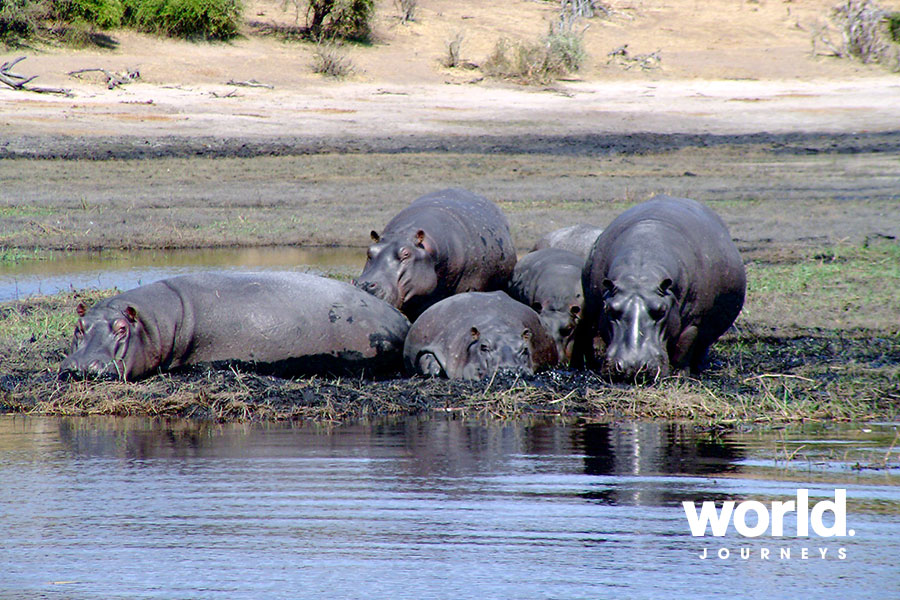 Chobe National Park