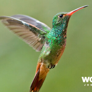 Galapagos Island Hopping